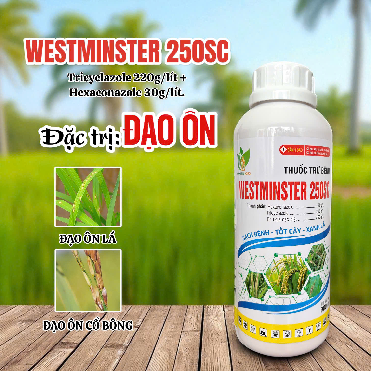 Westminster 250SC - Chai 900ml